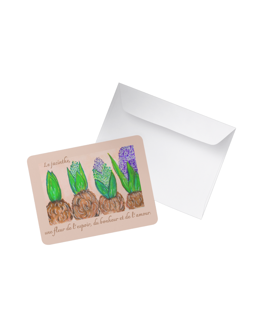Carte illustrée – Jacinthe avec enveloppe blanche