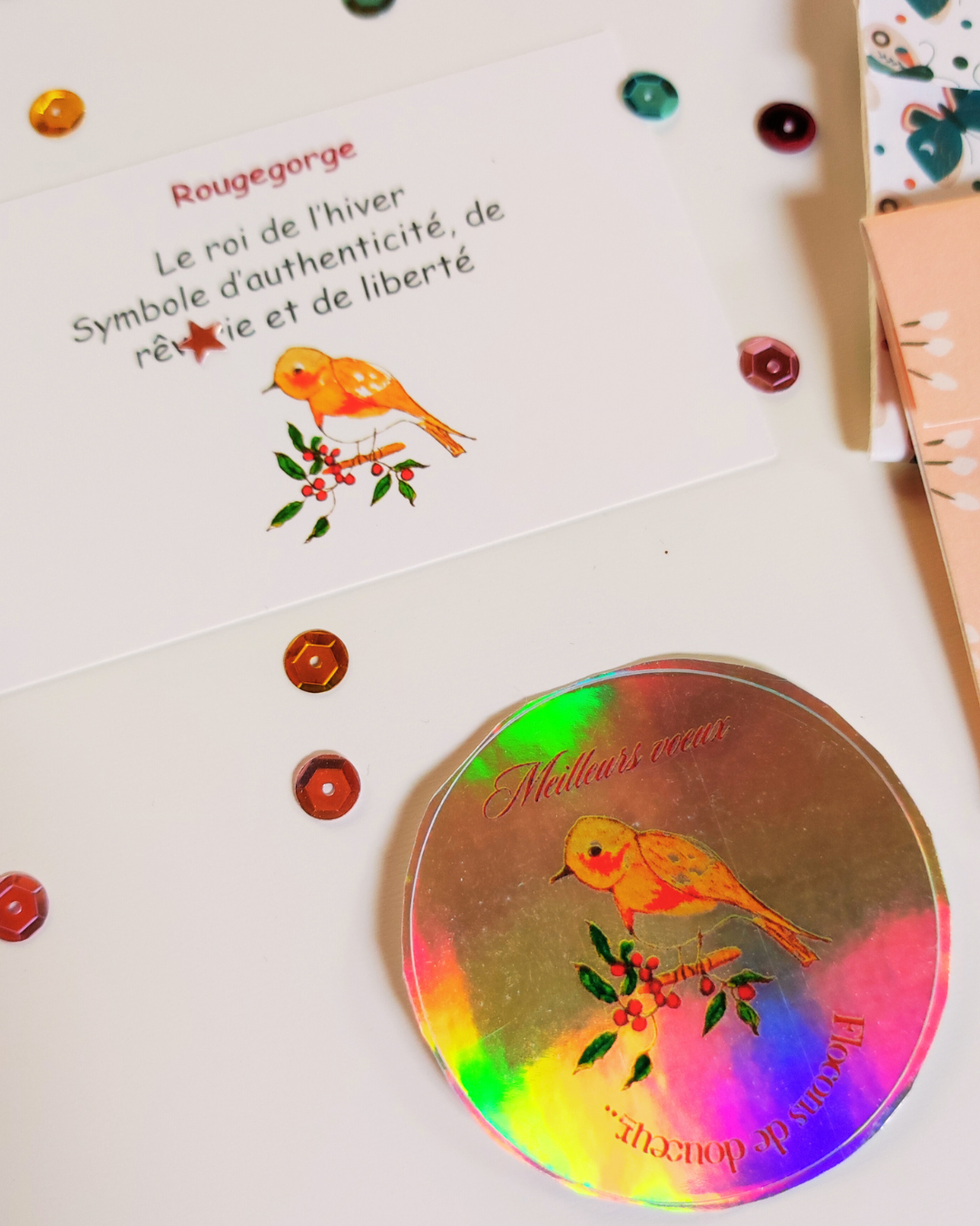 Lot Porte-Bonheur 2026 – 5 Cartes Cookie Fortune + 5 Stickers