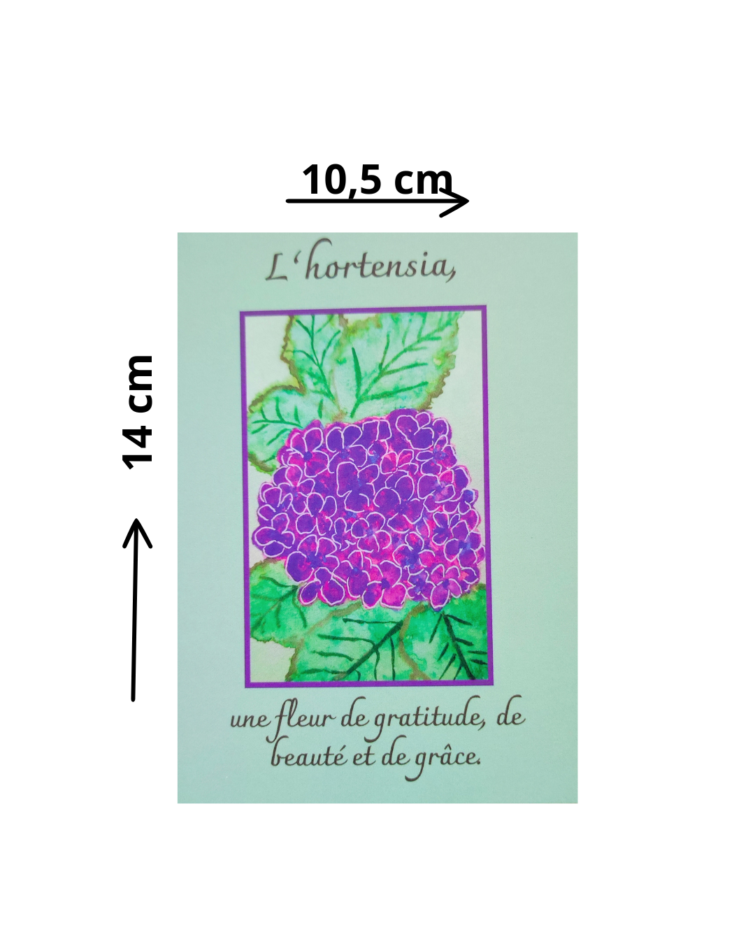 Lot de cartes et de marque-pages "Douce améthyste"
