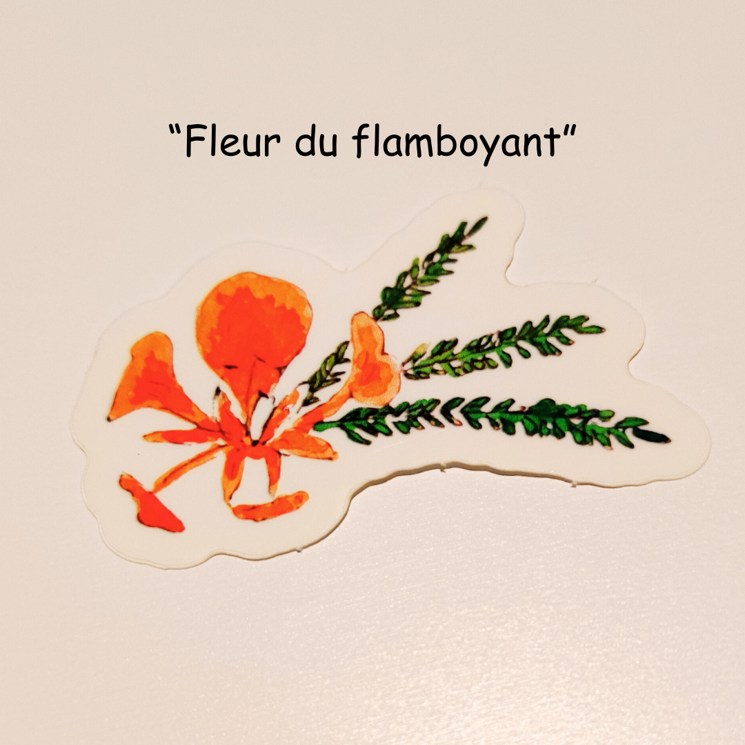 Lot de 5 stickers "slow life caraïbe"