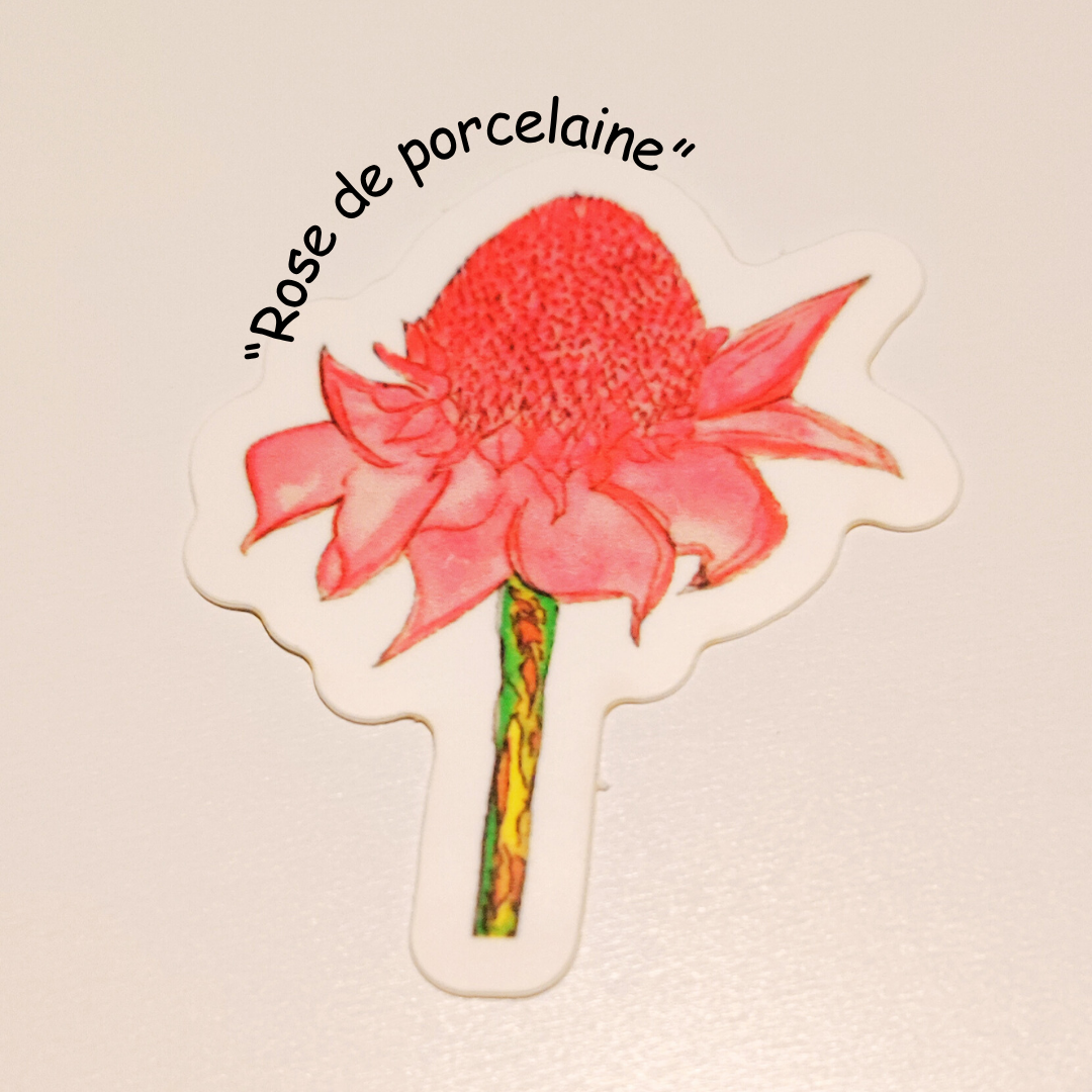 Lot de 5 stickers "slow life caraïbe"
