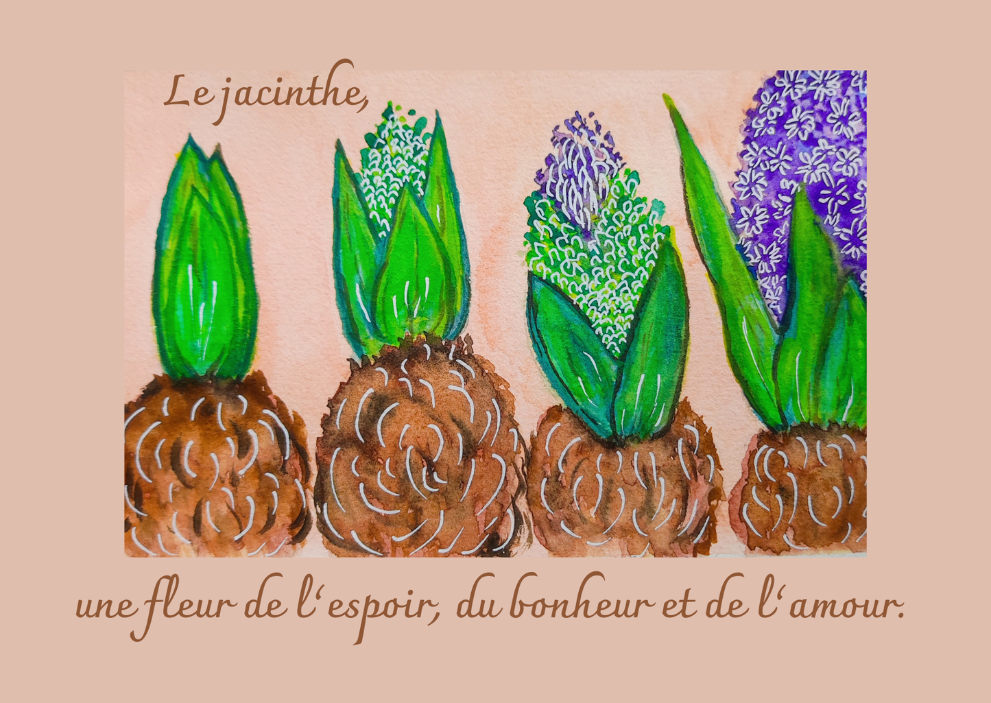 Carte illustrée – Jacinthe